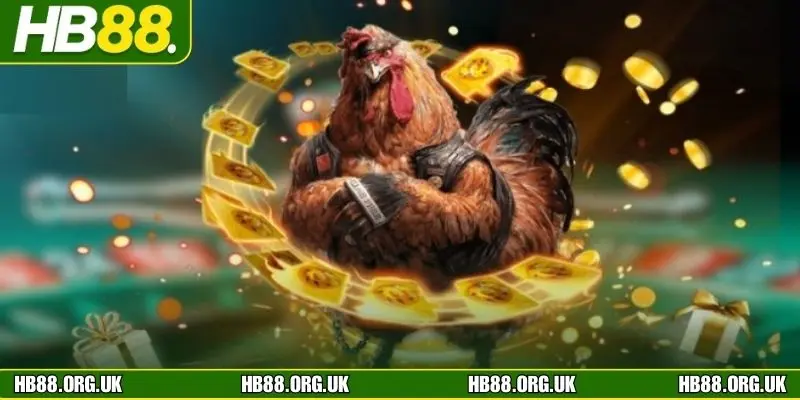 Những thể loại gà chiến nổi bật có tại HB88