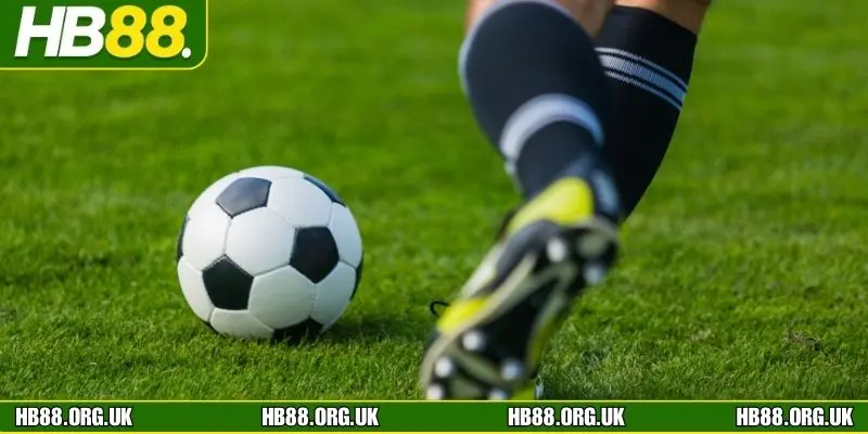 Tổng hợp các kèo bóng đá tại thể thao hb88